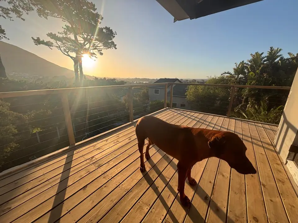 Timber deck with a cable balustrade at sunset
